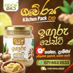 Ginger Paste 250g